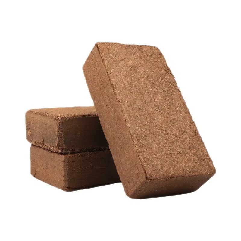 Reptile Bedding Compressed Coc - đánh giá và giá Sphagnum Moss Dry