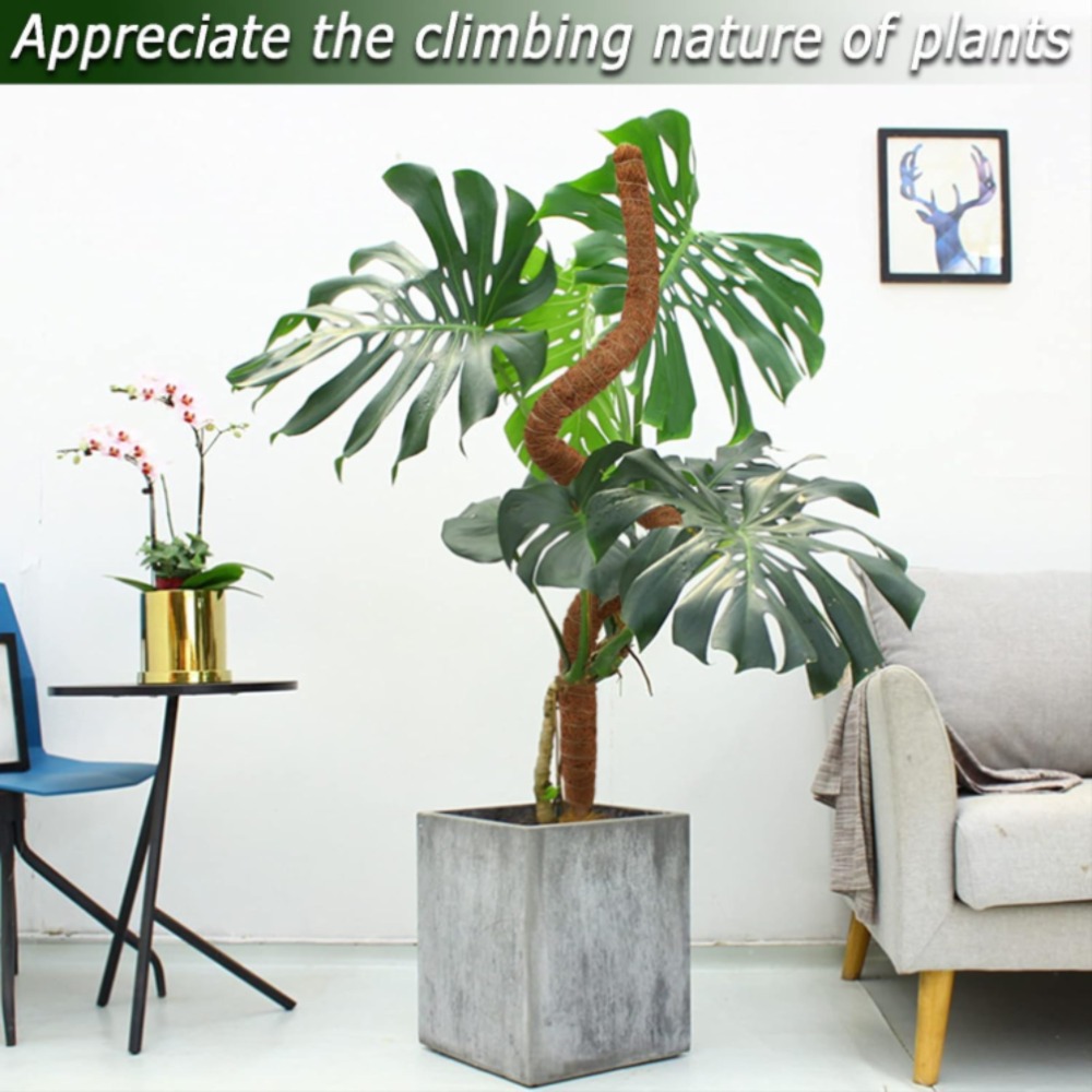 30-100cm Bendable Plants Climb - đánh giá và giá Sphagnum Moss Dry