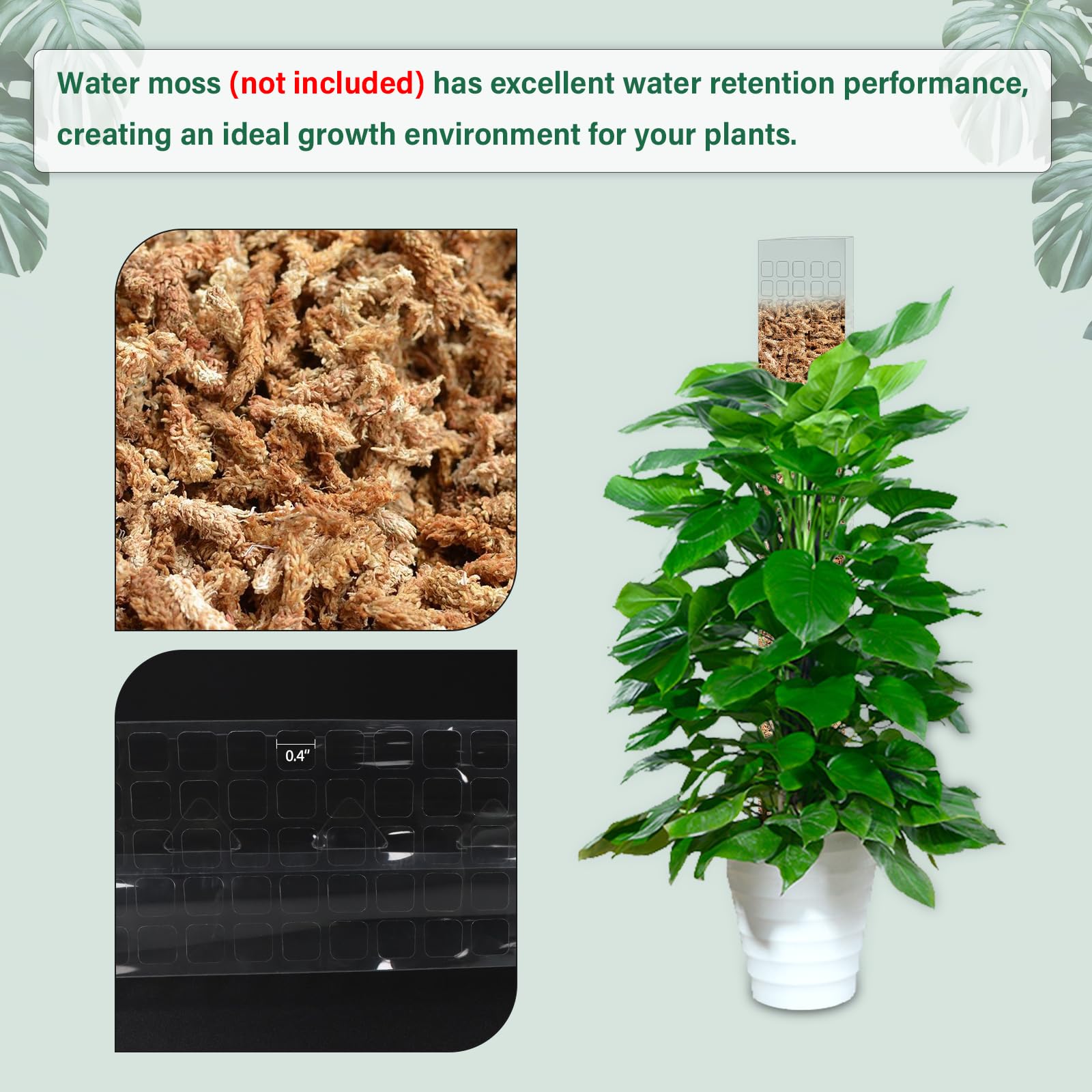 Moss Pole Plastic Plant Stand  - đánh giá và giá Sphagnum Moss Dry